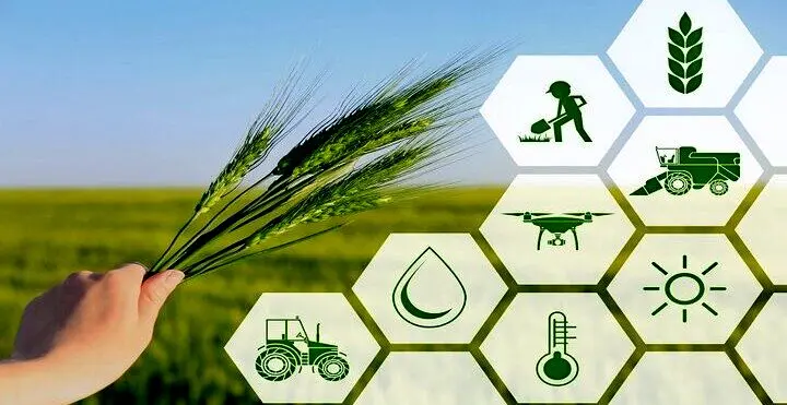 ضرورت فراگیر شدن کشاورزی قراردادی برای کاهش ضایعات و نوسان بازار