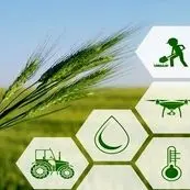 ضرورت فراگیر شدن کشاورزی قراردادی برای کاهش ضایعات و نوسان بازار