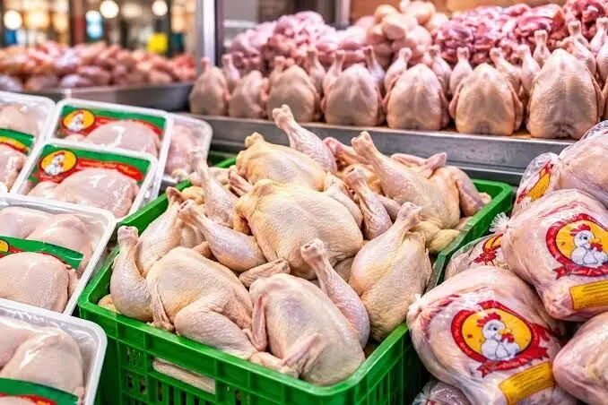 زیان ۶۰ همتی مرغداران؛ تولید قراردادی و تسهیل صادرات در دستور کار قرار گیرد
