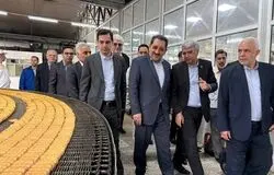 حمایت از کارگران و تولیدکنندگان اولویت دولت است