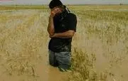کشاورزان خوزستانی منتظر اقدام واقعی نمایندگان/سفر کمیسیون کشاورزی به خوزستان؛ امید تازه یا تکرار وعده‌های نیمه‌تمام؟