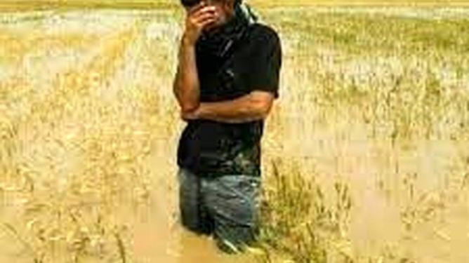 کشاورزان خوزستانی منتظر اقدام واقعی نمایندگان/سفر کمیسیون کشاورزی به خوزستان؛ امید تازه یا تکرار وعده‌های نیمه‌تمام؟