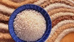 پیش‌بینی افزایش تولید برنج؛ نیاز وارداتی کشور به ۵۰۰ هزار تن کاهش می‌یابد