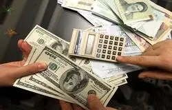 ارز چندنرخی سودش به مصرف‌کننده واقعی نمی‌رسید