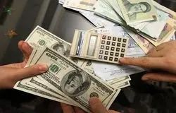ارز چندنرخی سودش به مصرف‌کننده واقعی نمی‌رسید