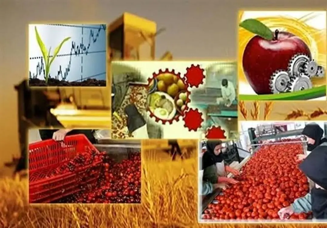 افتتاح ۱۹۹ پروژه صنایع تبدیلی و غذایی در هفته دولت