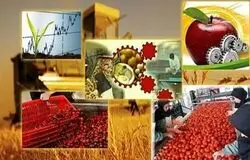 افتتاح ۱۹۹ پروژه صنایع تبدیلی و غذایی در هفته دولت