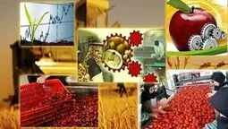 افتتاح ۱۹۹ پروژه صنایع تبدیلی و غذایی در هفته دولت
