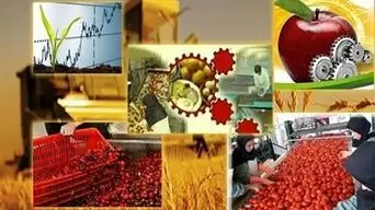 افتتاح ۱۹۹ پروژه صنایع تبدیلی و غذایی در هفته دولت