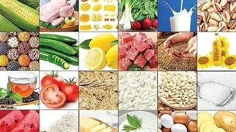 تأمین کالاهای اساسی در جنگ اقتصادی پایدار است؛ هشدار درباره بدهی ۴ میلیارد یورویی دولت