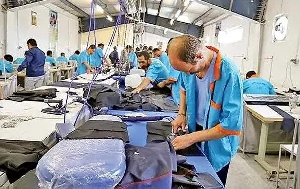 آغاز تدوین آیین‌نامه حمایت از کارآفرینان پیشرو در وزارت کار