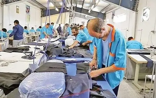 آغاز تدوین آیین‌نامه حمایت از کارآفرینان پیشرو در وزارت کار