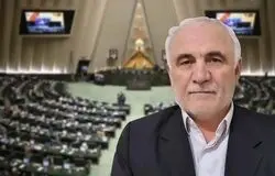 حذف ارز ترجیحی و تاثیر آن بر کاهش رانت‌ها و رونق تولید