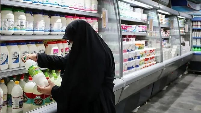 لبنیات در مسیر گرانی بی‌مجوز؛ فشار بر دامداران و کاهش مصرف خانوارها