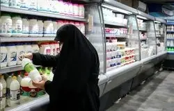 لبنیات در مسیر گرانی بی‌مجوز؛ فشار بر دامداران و کاهش مصرف خانوارها