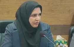 تأکید معاون وزیر کار بر نقش گفت‌وگوی سه‌جانبه در تعیین دستمزد/افزایش دستمزد بدون توجه به اشتغال، پایداری بنگاه‌ها را تهدید می‌کند