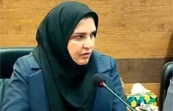 تأکید معاون وزیر کار بر نقش گفت‌وگوی سه‌جانبه در تعیین دستمزد/افزایش دستمزد بدون توجه به اشتغال، پایداری بنگاه‌ها را تهدید می‌کند