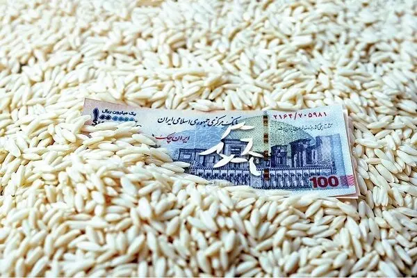 ورود سازمان تعاون روستایی به بازار برنج دست دلالان را کوتاه‌ می‌کند