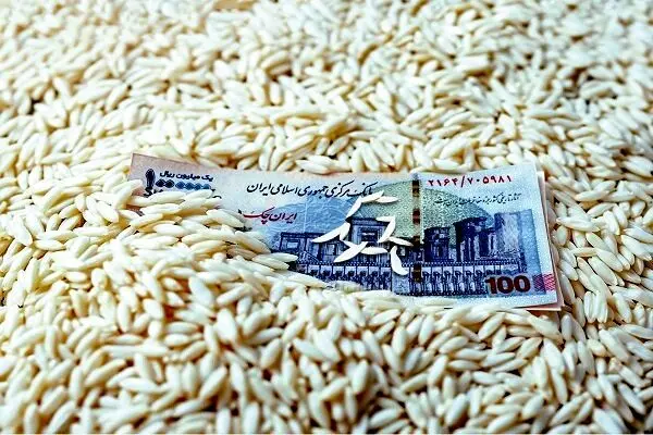 ورود سازمان تعاون روستایی به بازار برنج دست دلالان را کوتاه‌ می‌کند