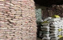 واردکنندگان برنج با ارز یارانه‌ای حق فروش آزاد ندارند