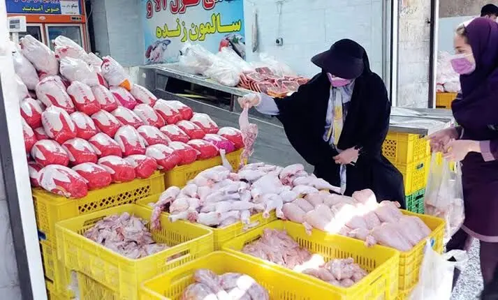 مازاد تولید، افت تقاضا و فاصله قیمت؛ سه چالش بازار مرغ