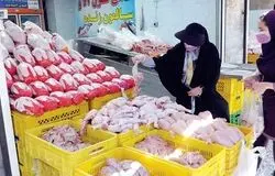 مازاد تولید، افت تقاضا و فاصله قیمت؛ سه چالش بازار مرغ