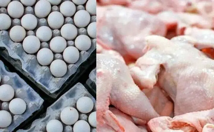 جراحی اقتصادی بدون بی‌هوشی؛ شوک ارزی به سفره مردم