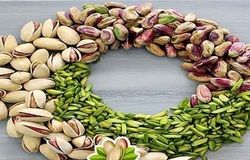 پسته ایران دوباره در اروپا گل کرد/۱۰۵ میلیون دلار درآمد در مسیر پایداری