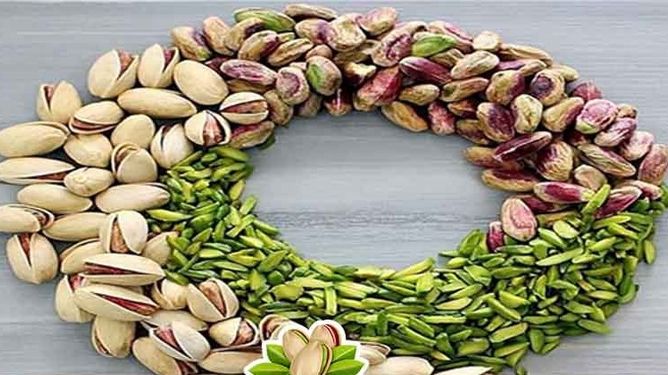 پسته ایران دوباره در اروپا گل کرد/۱۰۵ میلیون دلار درآمد در مسیر پایداری