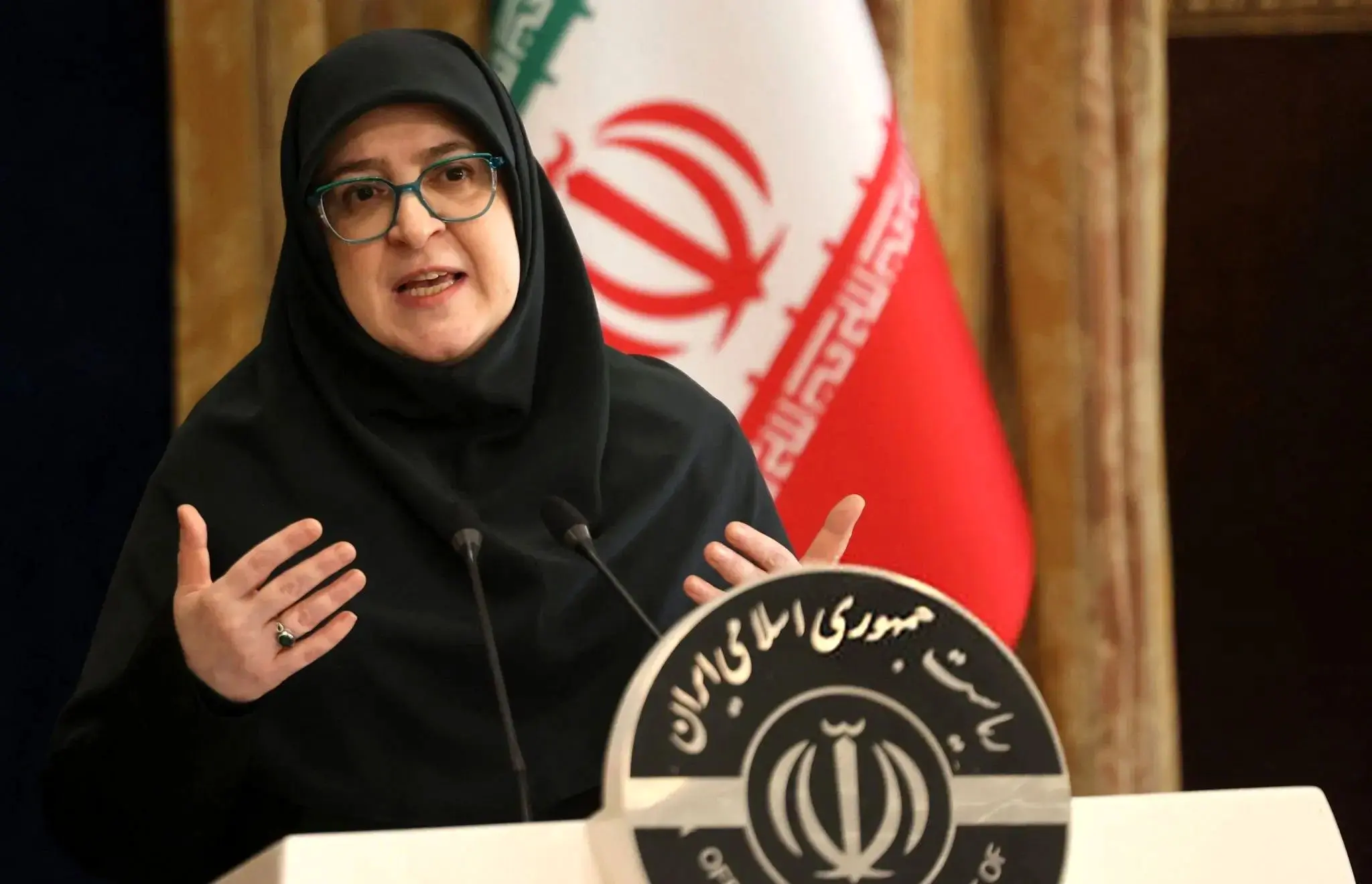 سخنگوی دولت: ماموریت همتی کنترل تورم و بازسازی اعتماد به سیاست‌های پولی است