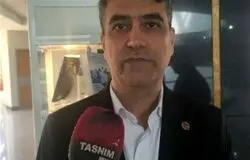 قیمت‌گذاری غیرواقعی انرژی، مانع اصلی بهره‌وری در صنایع