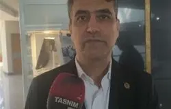 قیمت‌گذاری غیرواقعی انرژی، مانع اصلی بهره‌وری در صنایع