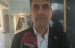 قیمت‌گذاری غیرواقعی انرژی، مانع اصلی بهره‌وری در صنایع