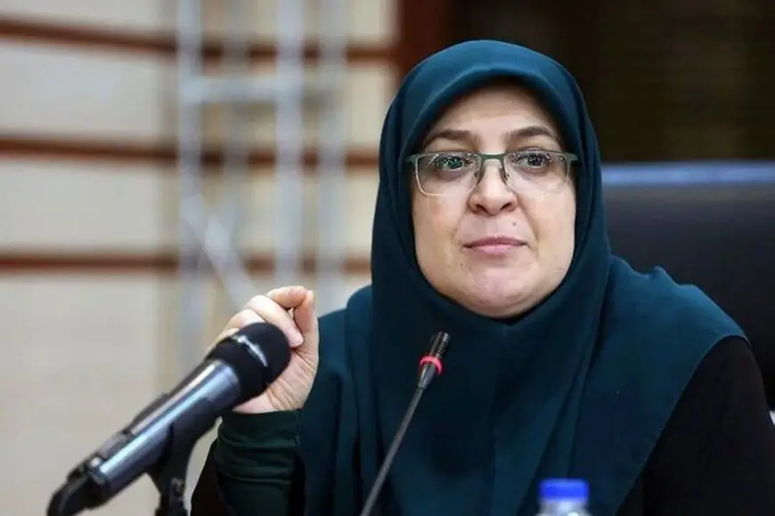 سخنگوی دولت:دولت برنامه فعالی برای رونق اقتصاد دارد/ برنامه رفع فیلترنیگ‌ ادامه دارد