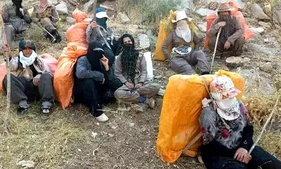 ​کارت مجاز کولبری صادر شد
