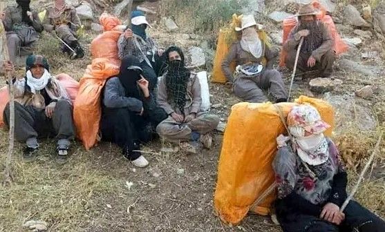 ​کارت مجاز کولبری صادر شد