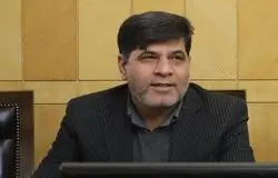 هشدار نماینده مجلس درباره بحران نهاده‌های دامی/ادامه تولید در خطر است