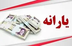  یارانه خانواده‌های دهک ۱ تا ۴ سه برابر می‌شود؛ گام عملی دولت در اجرای قانون جوانی جمعیت