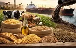 ورود واردکنندگان نهاده‌های دامی به فروش نفت، مسیر تأمین را به قاچاق و گرانی می‌کشاند