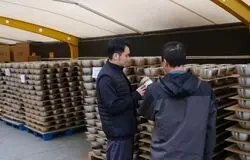 داستان تحول یک کارخانه تولید ظروف آشپزخانه در چین
