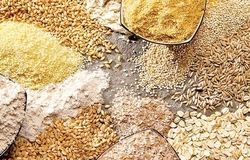 ۱۹ کشتی نهاده دامی در بندر امام تخلیه شد/ ۷ کشتی دیگر در راه ایران