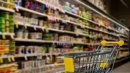 تثبیت قیمت کالاهای اساسی زیر سایه ارز و مالیات؛ واردکنندگان چه می‌خواهند؟