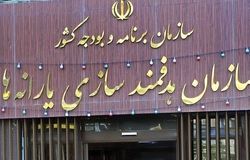 فاز جدید هدفمندسازی یارانه‌ها در دولت چهاردهم؛ هشدار میدری به متخلفان