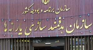 فاز جدید هدفمندسازی یارانه‌ها در دولت چهاردهم؛ هشدار میدری به متخلفان