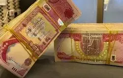 دینار از زیارت تا سوداگری/چرا ارزی بی‌تقاضا گران شد؟