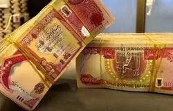 دینار از زیارت تا سوداگری/چرا ارزی بی‌تقاضا گران شد؟