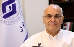 حضور نمادین تشکل‌ها در ۹۱ شورای تصمیم‌ساز با کمترین اثرگذاری/ اجرای سند توسعه تعاون از ۱۵ درصد فراتر نرفت