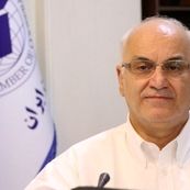 حضور نمادین تشکل‌ها در ۹۱ شورای تصمیم‌ساز با کمترین اثرگذاری/ اجرای سند توسعه تعاون از ۱۵ درصد فراتر نرفت