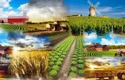 کشت فراسرزمینی؛ راه‌حلی روی کاغذ یا راهبردی برای عبور از بحران آب؟