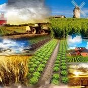 کشت فراسرزمینی؛ راه‌حلی روی کاغذ یا راهبردی برای عبور از بحران آب؟